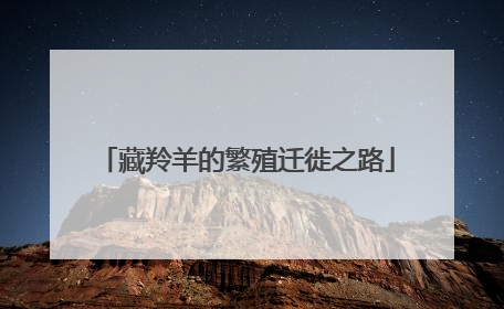 藏羚羊的繁殖迁徙之路
