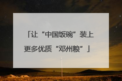 让“中国饭碗”装上更多优质“邓州粮”