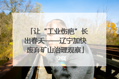 让“工业伤疤”长出春天——辽宁加快废弃矿山治理观察