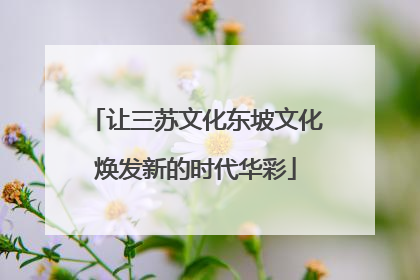 让三苏文化东坡文化焕发新的时代华彩