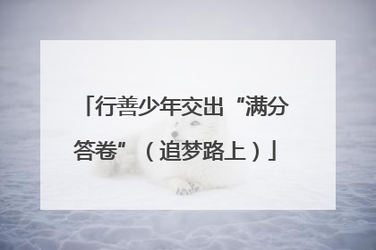 行善少年交出“满分答卷”（追梦路上）
