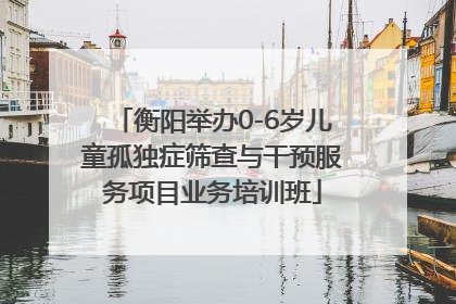 衡阳举办0-6岁儿童孤独症筛查与干预服务项目业务培训班