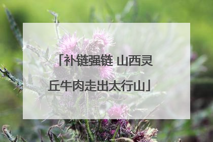 补链强链 山西灵丘牛肉走出太行山