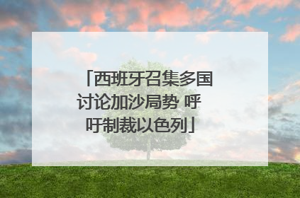 西班牙召集多国讨论加沙局势 呼吁制裁以色列
