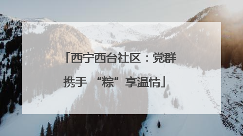 西宁西台社区：党群携手 “粽”享温情