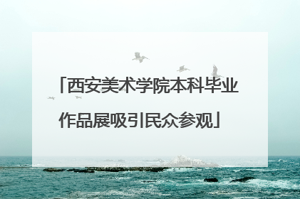西安美术学院本科毕业作品展吸引民众参观