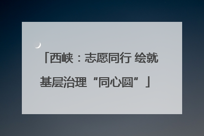 西峡：志愿同行 绘就基层治理“同心圆”