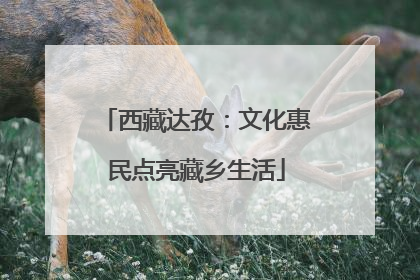西藏达孜：文化惠民点亮藏乡生活
