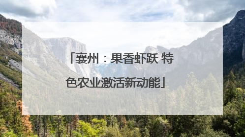 襄州：果香虾跃 特色农业激活新动能