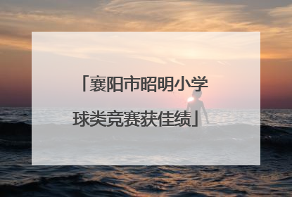 襄阳市昭明小学球类竞赛获佳绩