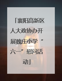襄阳高新区人大政协办开展魏庄小学“六一”慰问活动