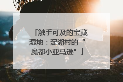 触手可及的宝藏湿地：淀湖村的“魔都小亚马逊”