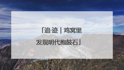 追·迹｜鸡窝里发现明代抱鼓石