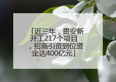 近三年，贵安新开工217个项目，招商引资到位资金达400亿元