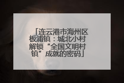 连云港市海州区板浦镇：城北小村解锁“全国文明村镇”成就的密码