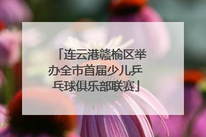 连云港赣榆区举办全市首届少儿乒乓球俱乐部联赛