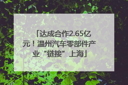 达成合作2.65亿元！温州汽车零部件产业“链接”上海