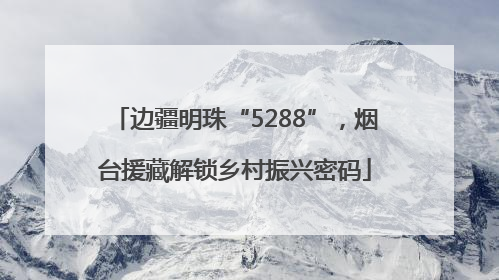 边疆明珠“5288”，烟台援藏解锁乡村振兴密码