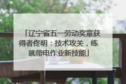 辽宁省五一劳动奖章获得者佟明：技术攻关，练就带电作业新技能