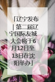 辽宁发布｜第二届辽宁国际友城大会将于6月12日至13日在沈阳举办