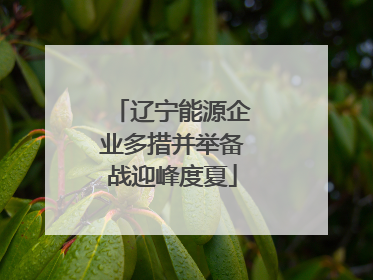 辽宁能源企业多措并举备战迎峰度夏