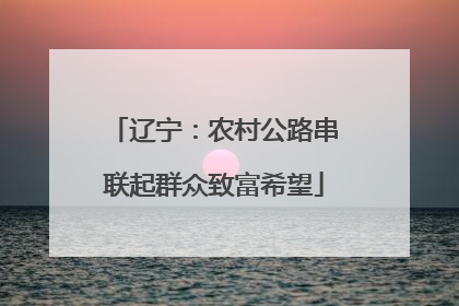 辽宁：农村公路串联起群众致富希望