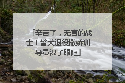 辛苦了，无言的战士！警犬退役撒娇训导员湿了眼眶