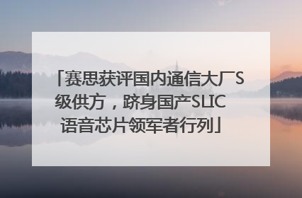 赛思获评国内通信大厂S级供方，跻身国产SLIC语音芯片领军者行列