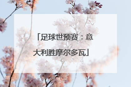足球世预赛：意大利胜摩尔多瓦