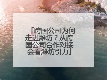 跨国公司为何走进潍坊？从跨国公司合作对接会看潍坊引力