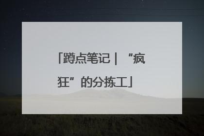 蹲点笔记｜“疯狂”的分拣工