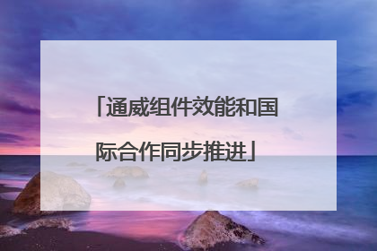 通威组件效能和国际合作同步推进