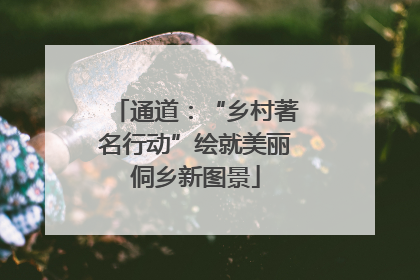 通道：“乡村著名行动”绘就美丽侗乡新图景