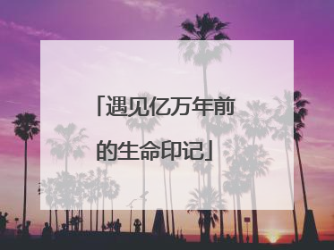 遇见亿万年前的生命印记