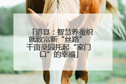道县：智慧养蚕织就致富新“丝路” 千亩桑园托起“家门口”的幸福