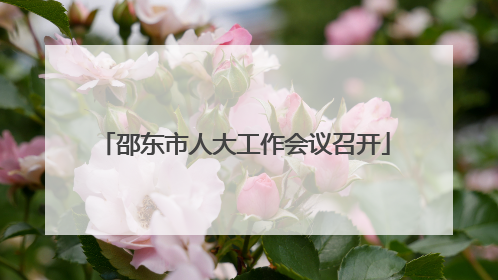 邵东市人大工作会议召开