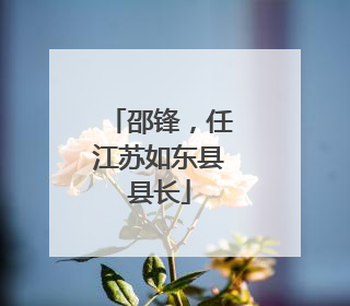 邵锋，任江苏如东县县长
