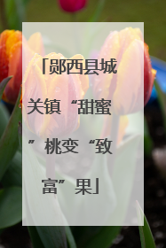 郧西县城关镇“甜蜜”桃变“致富”果