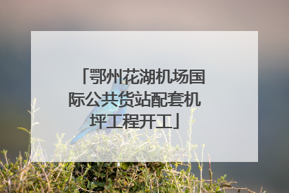 鄂州花湖机场国际公共货站配套机坪工程开工
