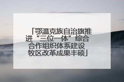 鄂温克族自治旗推进“三位一体”综合合作组织体系建设 牧区改革成果丰硕