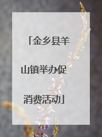 金乡县羊山镇举办促消费活动