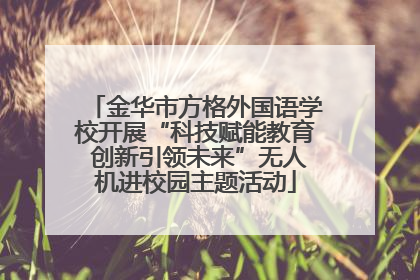 金华市方格外国语学校开展“科技赋能教育 创新引领未来”无人机进校园主题活动
