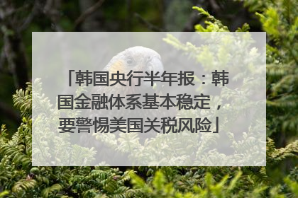 韩国央行半年报：韩国金融体系基本稳定，要警惕美国关税风险