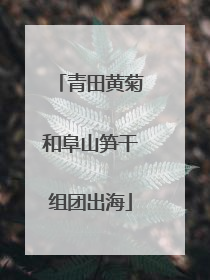 青田黄菊和阜山笋干组团出海