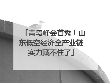 青岛峰会首秀！山东低空经济全产业链实力藏不住了