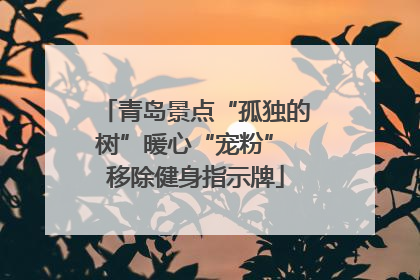 青岛景点“孤独的树”暖心“宠粉” 移除健身指示牌