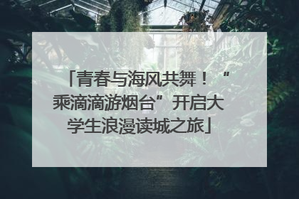 青春与海风共舞！“乘滴滴游烟台”开启大学生浪漫读城之旅