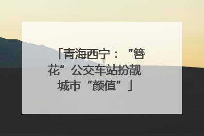 青海西宁：“簪花”公交车站扮靓城市“颜值”