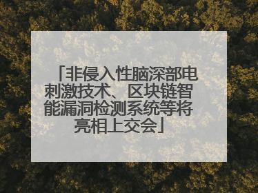非侵入性脑深部电刺激技术、区块链智能漏洞检测系统等将亮相上交会