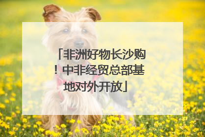 非洲好物长沙购！中非经贸总部基地对外开放